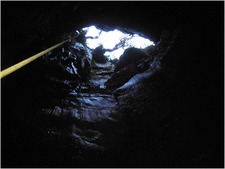 Thumbnail of photo from this article